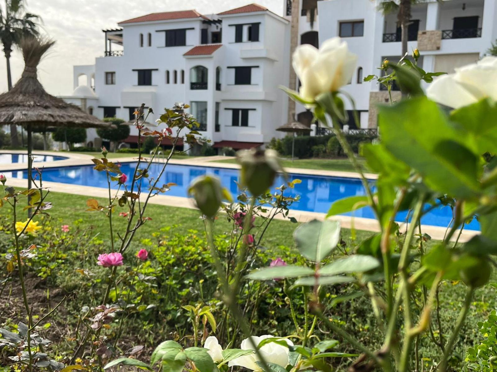 Lilac'S Garden Vue Piscine M'Diq Bagian luar foto